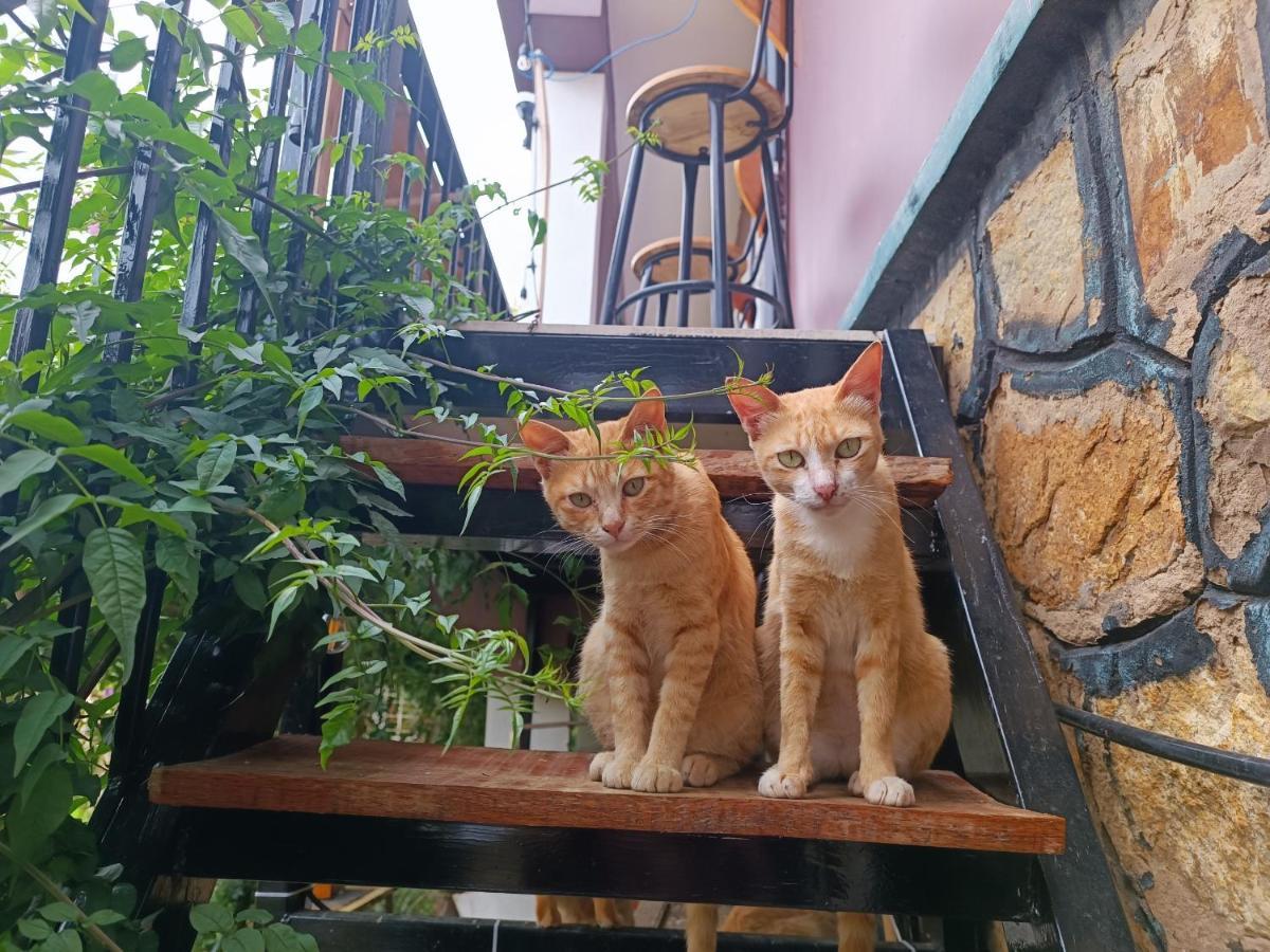 The Burrow Dalat Appartement Buitenkant foto