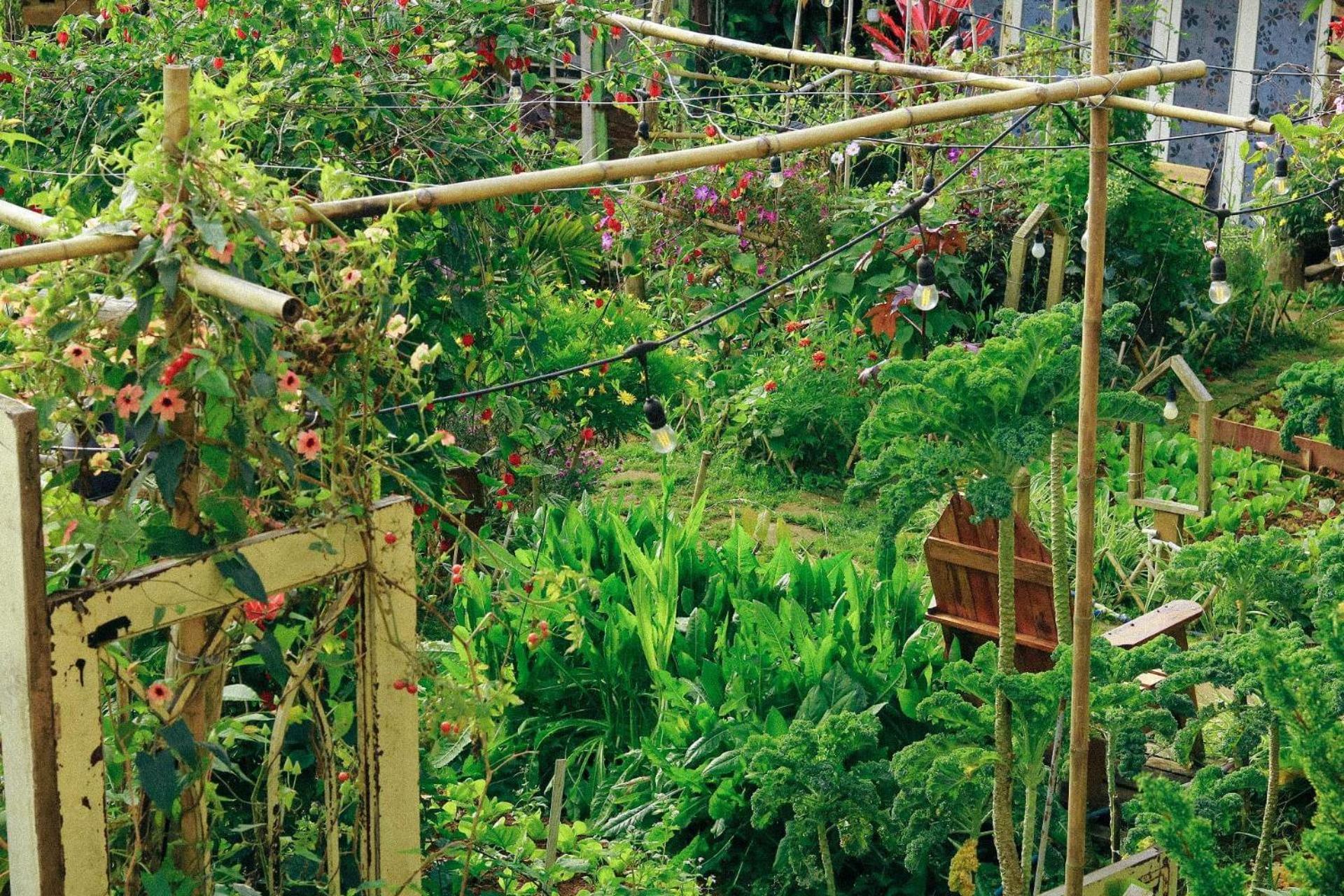 The Burrow Dalat Appartement Buitenkant foto