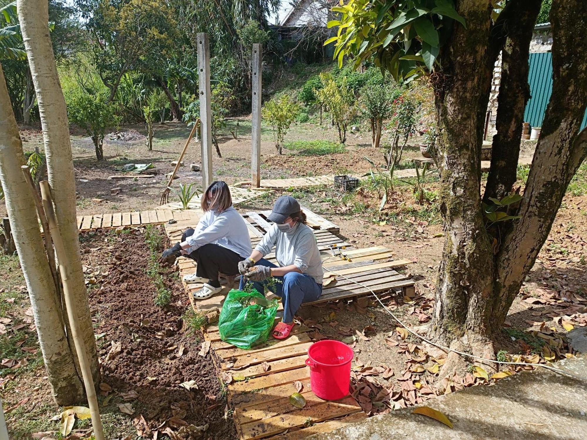 The Burrow Dalat Appartement Buitenkant foto