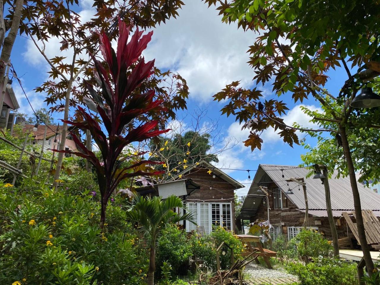 The Burrow Dalat Appartement Buitenkant foto